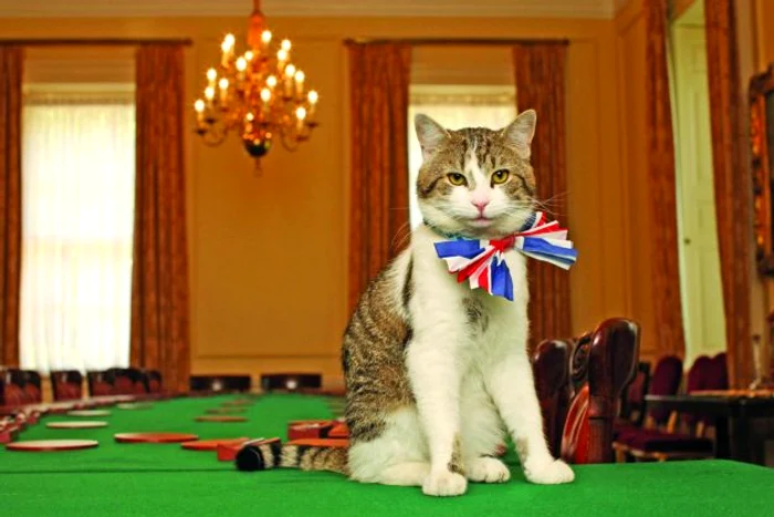 Last exit to Brexit jpeg