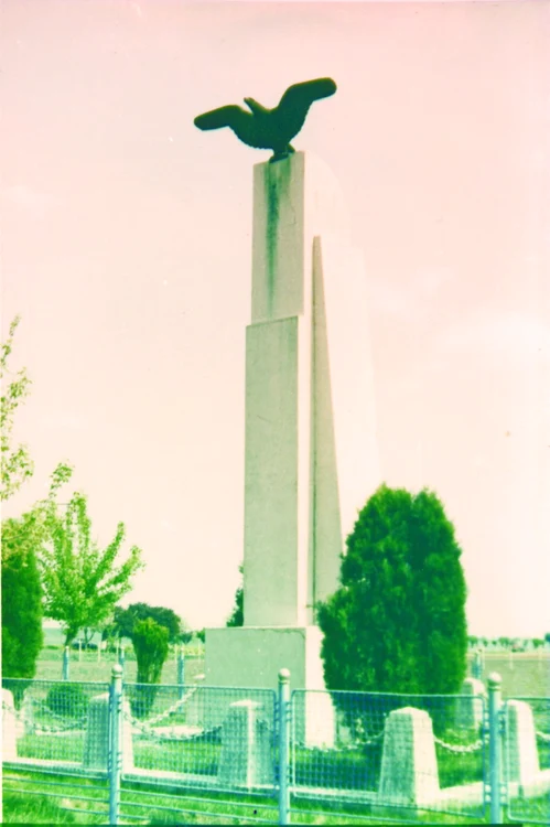 Monumentul ridicat la Băneşti pe locul unde s-a prăbuşit avionul „A. Vlaicu nr. II”