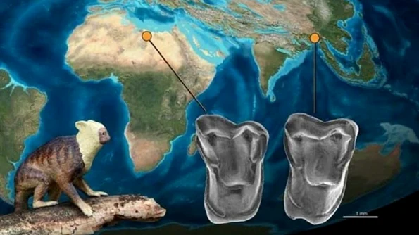 Descoperirea care ar putea schimba tot ce ştim despre evoluţia omului jpeg