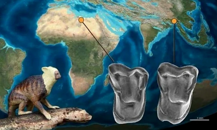 Descoperirea care ar putea schimba tot ce ştim despre evoluţia omului jpeg