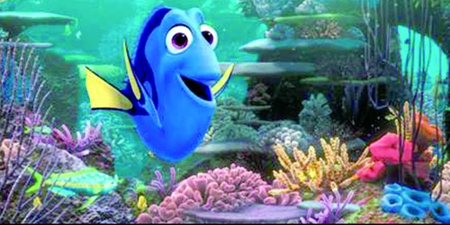 dory