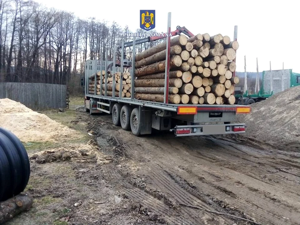 Autotrenul cu bușteni, confiscat la Suceava SURSA Poliția Română