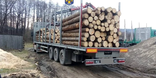 autotren confiscat cu tot cu lemn 2 jpg