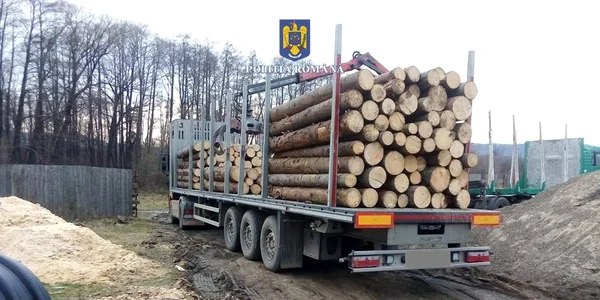 autotren confiscat cu tot cu lemn 2 jpg