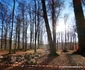 Sarmizegetusa Regia, solstitiu de iarnă Foto Daniel Guță ADEVĂRUL (23) jpg