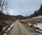 Valea Anineșului Drumul spre Fața Cetei (10) jpg