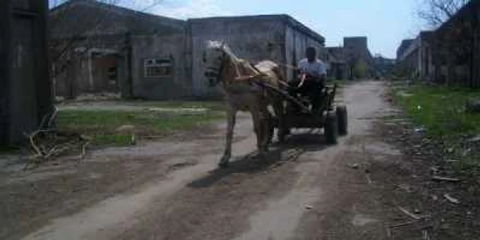 Suspecţii au fost prinşi pe platforma Nitramonia Foto: arhivă