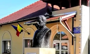 primaria cut alba jpg