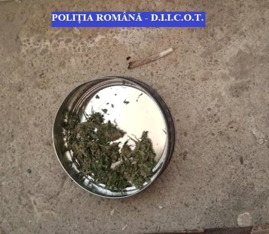 cannais baleni