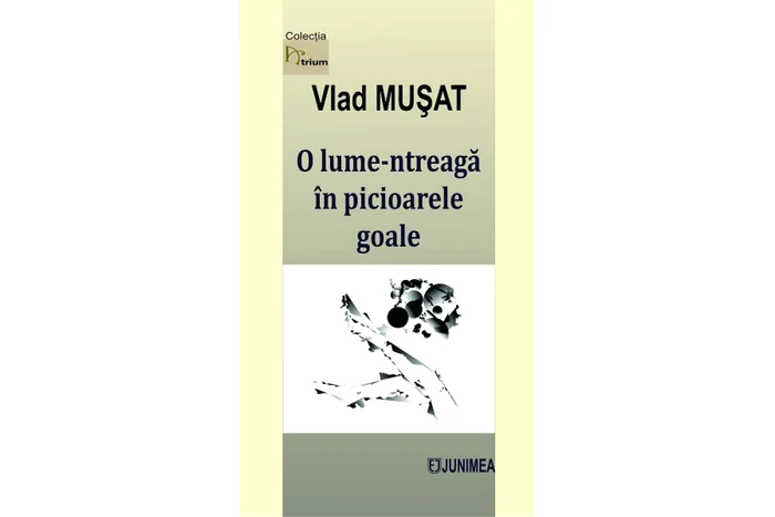 Platitudini deconstruite jpeg