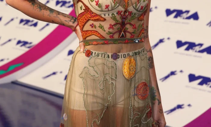 2017 MTV Video Music Awards   Red Carpet jpeg