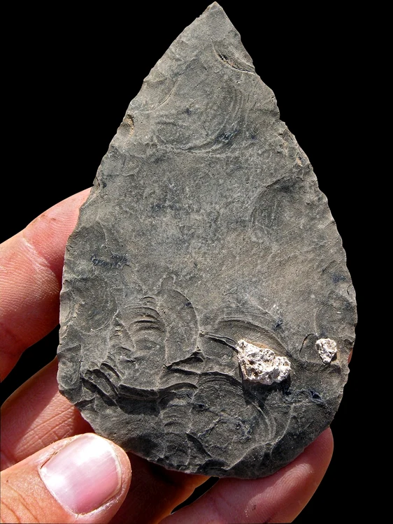 Vârf mare, atent modelat, din perioada Paleoliticului Mijlociu, fabricat din obsidian (© Tim White)