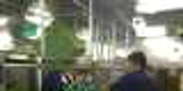 Viata pe vas de croaziera FOTO Arhiva personala Bogdan