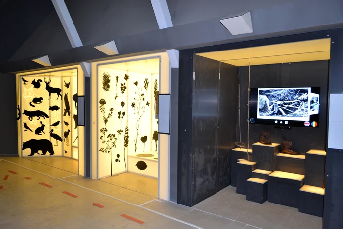 Centrul din Zărneşti poate fi vizitat gratisFoto: "Adevărul"