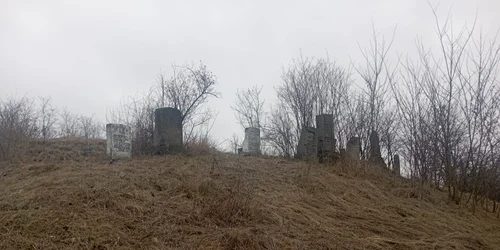 cimitir evreiesc radauti prut (11) jfif