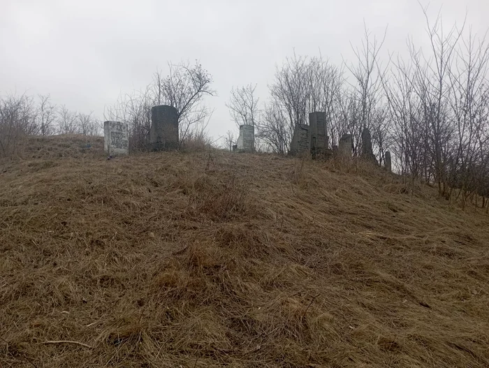 Parte a cimitirului evreiesc FOTO Cosmin Zamfirache