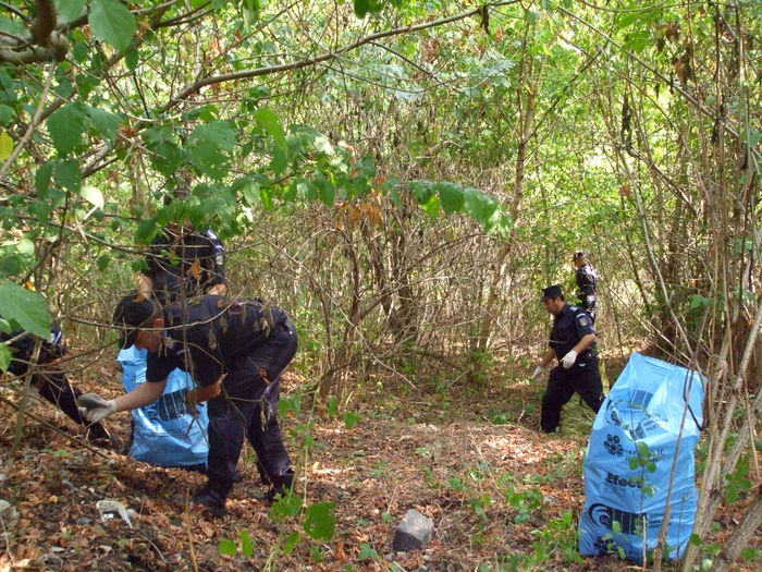 Jandarmii arădeni au adunat peste 50 de saci de gunoi