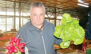 verdeturi 10 utile dsc09783 jpeg