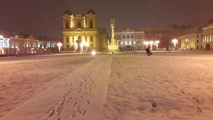 Prima ninsoare din 2019. Timişoara a îmbrăcat din nou haine albe FOTO Ş.Both