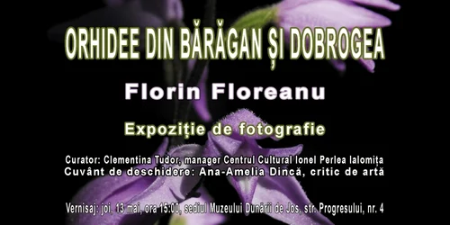 calarasi expozitie de fotografie la muzeu foto MDJ