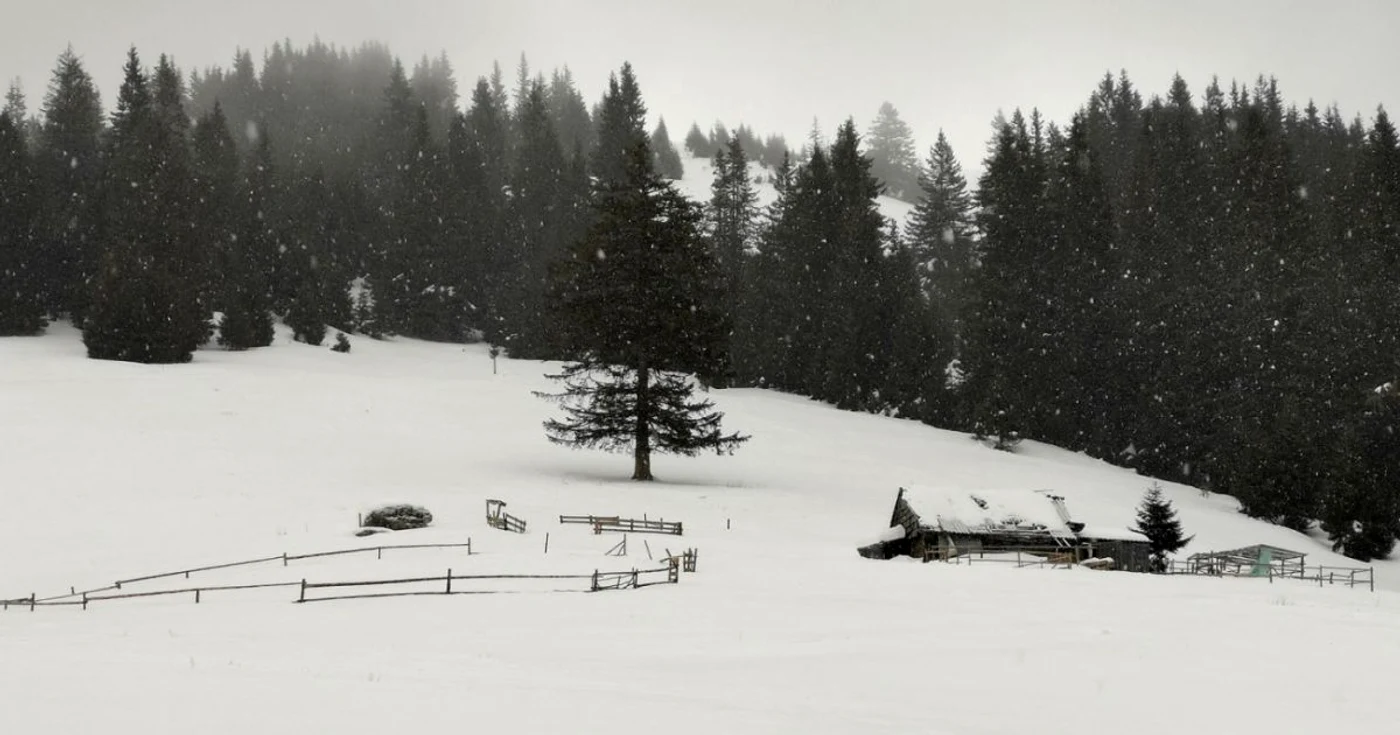 Ninge la înălțimi