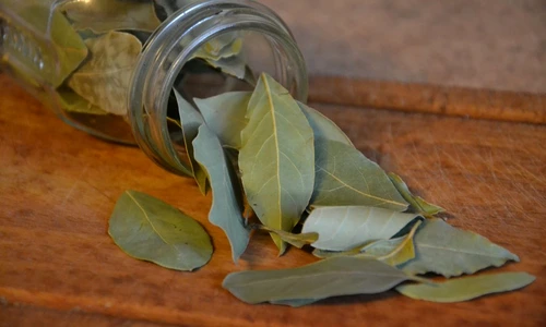 atragerea norocului jpeg