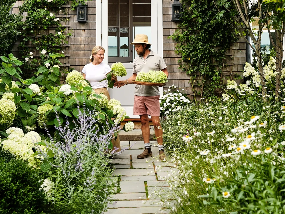 Grădina din fața casei cu plante sălbatice și exotice Foto House & Garden credit Dean Hearne