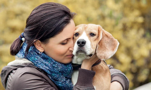 shutterstock 274989689 jpg