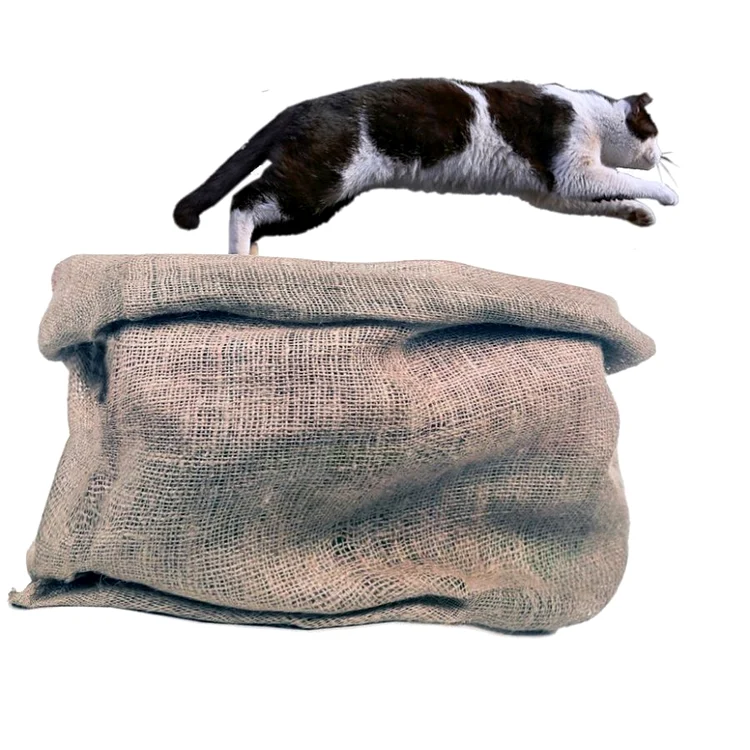 Cu mîța n sac jpeg