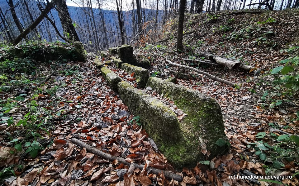 Cetatea dacică prădată de căutătorii de comori: „Nu se amenajează ca să nu știe aceștia unde să mai sape” VIDEO