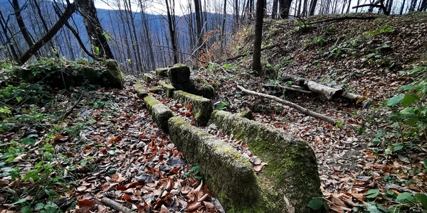 Cetatea dacica Fețele Albe  Foto Daniel Guță (35) jpg