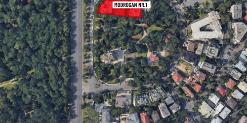 modrogan 1 curtea sediului central pnl foto nicusor dan facebook