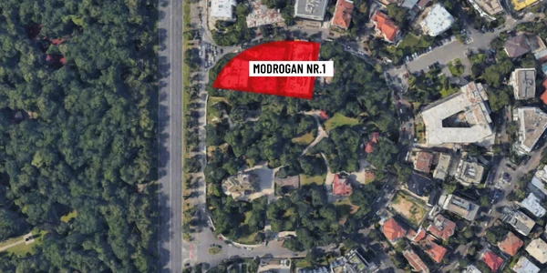 modrogan 1 curtea sediului central pnl foto nicusor dan facebook 