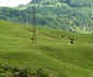 Meisoare Pucheni
