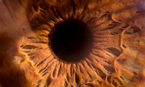 shutterstock 709701601 (1) jpg