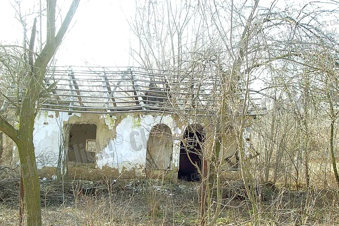 Comuna Gogoşu (FOTOGRAFII: ANDREEA MITRACHE)