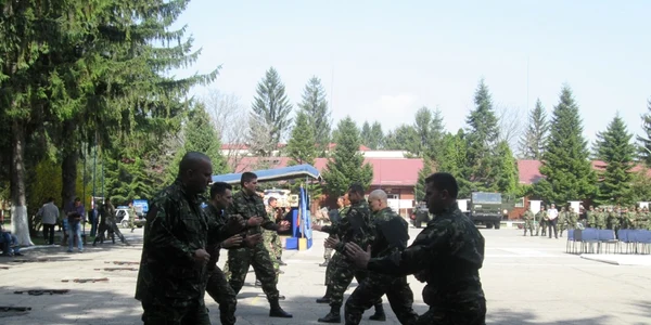 genisti valcea