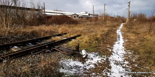 calea ferata hunedoara simeria foto daniel guta adevarul