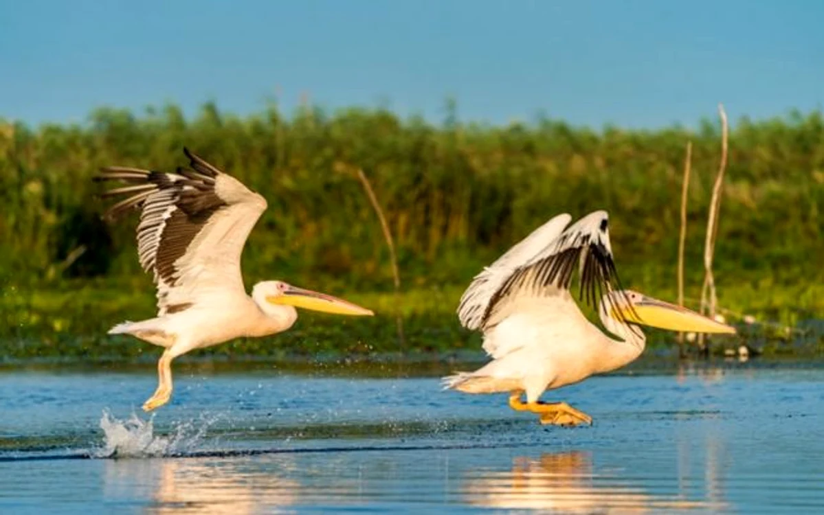 Foto: Călin Stan pentru Unsplash.com