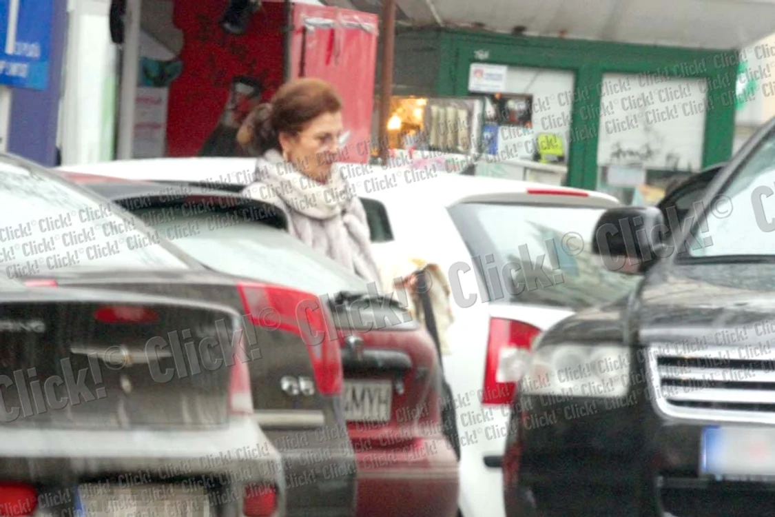 Irina Loghin a fost singură la cumpărături (Fotografii: BLITZ)