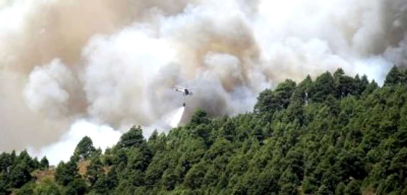 <b>AFP</b>: Incendiu devastator în Santa Cruz, California