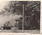 Căi ferate forestiere din Valea Jiului Anul 1956 Foto Richard Marschalko (21) jpg