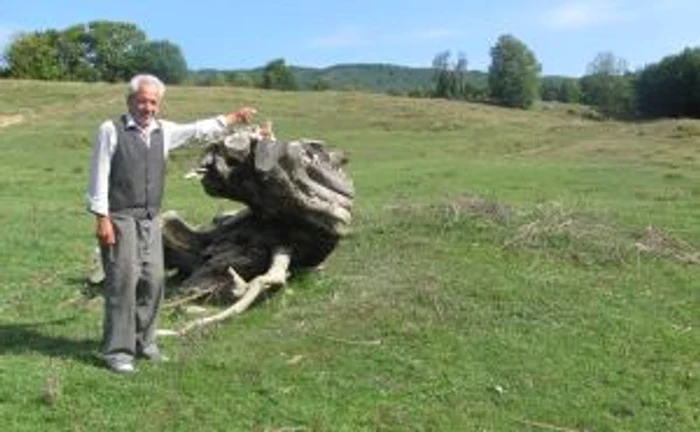 Gheorghe Grozavu a descoperit o pitra de moara in Calea Lupilor