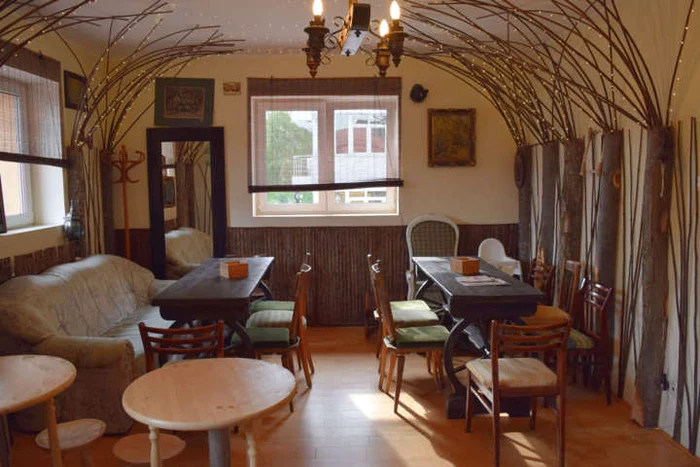 1 1 1 dsc 0198 jpg jpeg