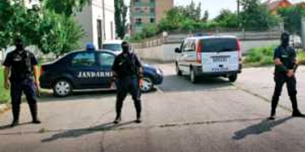 VIDEO Caracalul sălbatic