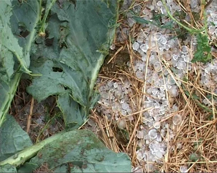 potop vaslui