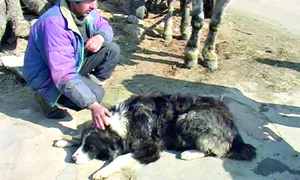 CLIIMA20120315 0159 1 jpeg
