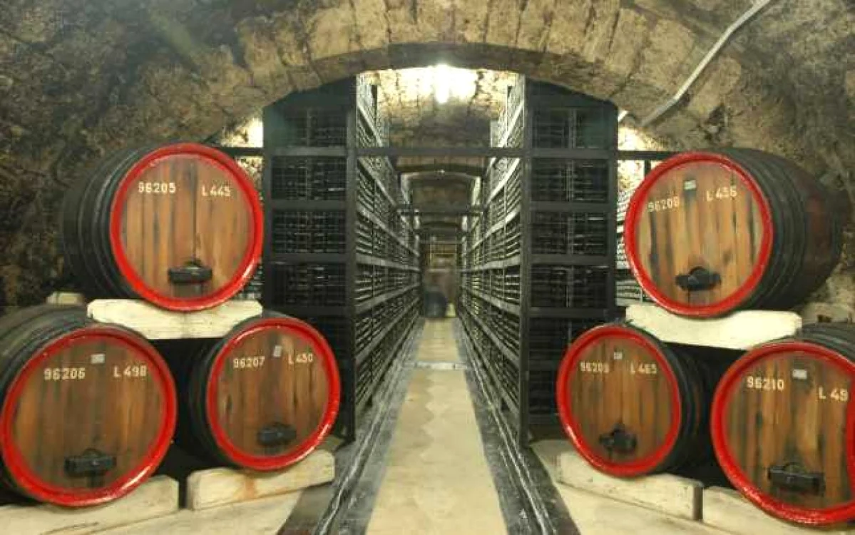 Interior din crama beciul Domnesc FOTO> Vincon Vrancea