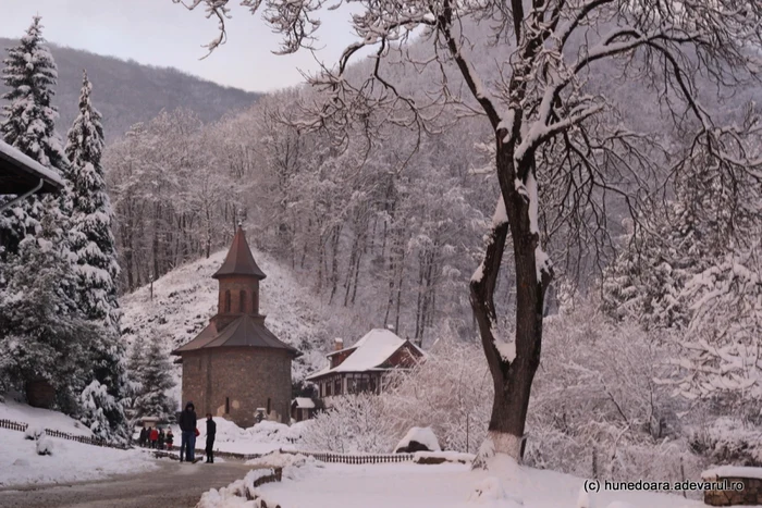 Ninsorile au dat strălucire Prislopului. FOTO: Daniel Guţă. ADEVĂRUL.