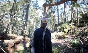 1 aokigahara 2 jpg jpeg